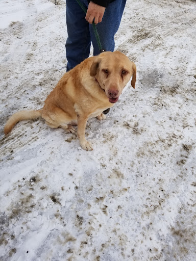 House of Stillwater Pet Grooming