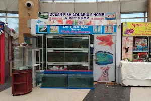 Ocean Fish Aquarium Home And Pet Shop image