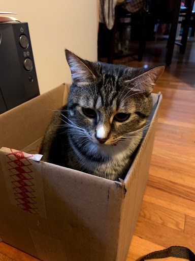Petco image
