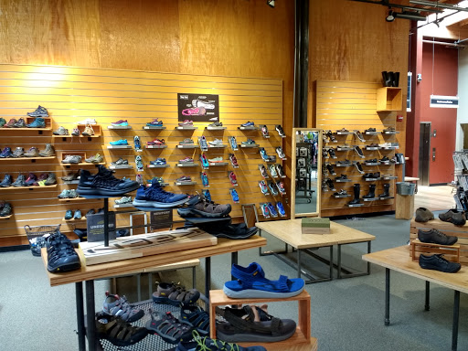 Camping Store «REI», reviews and photos, 2450 Charleston Rd, Mountain View, CA 94043, USA
