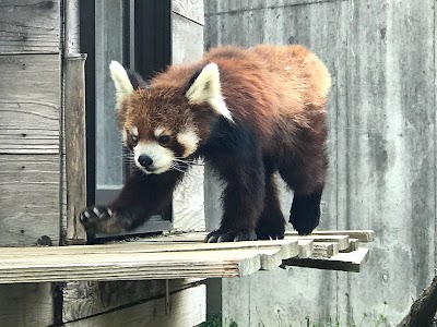 千葉市動物公園 ふれあい動物の里