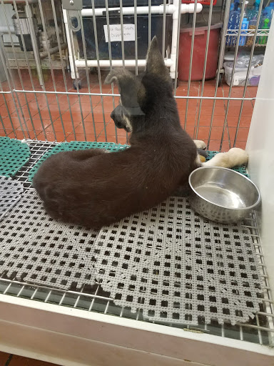Pet Store «Pets Plus Inc», reviews and photos, 2610 Jefferson Davis Hwy, Stafford, VA 22554, USA