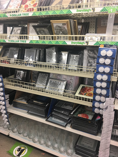Dollar Store «Dollar Tree», reviews and photos, 907 N Homestead Blvd, Homestead, FL 33030, USA