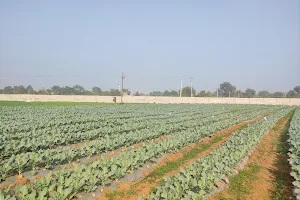 Jhansi organic Agro and Nursery image