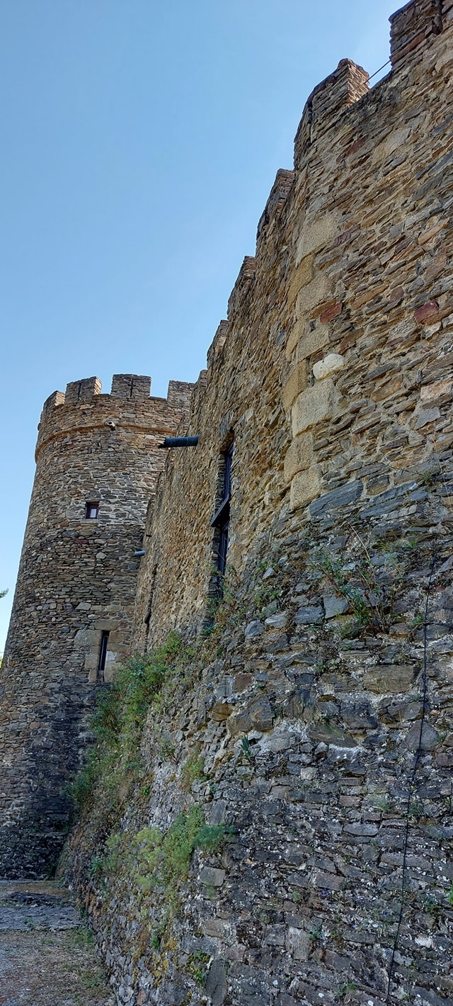 Photo n° 34 de l'avis de Gérard.e fait le 10/04/2023 à 15:40