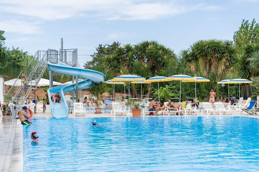 Pensioni per cani e dog hotel a TOM E JERRY PENSIONE DOG RESORT