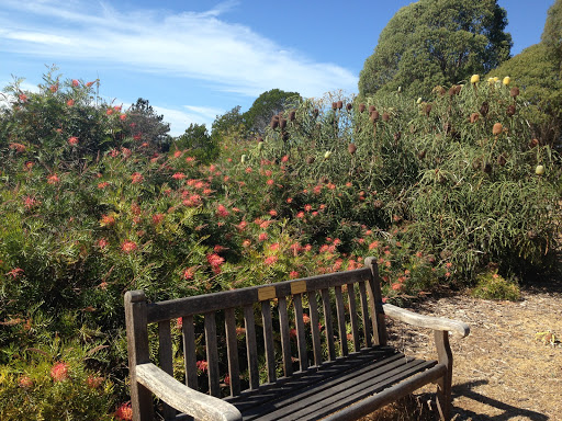 Nature Preserve «UC Santa Cruz Arboretum», reviews and photos, 1156 High St, Santa Cruz, CA 95064, USA