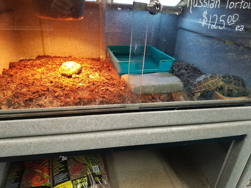 Pet Store «V.I. Pets», reviews and photos, 11975 E Lakewood Blvd, Holland, MI 49424, USA