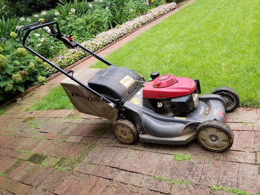 Garden «Wing Haven», reviews and photos, 248 Ridgewood Ave, Charlotte, NC 28209, USA