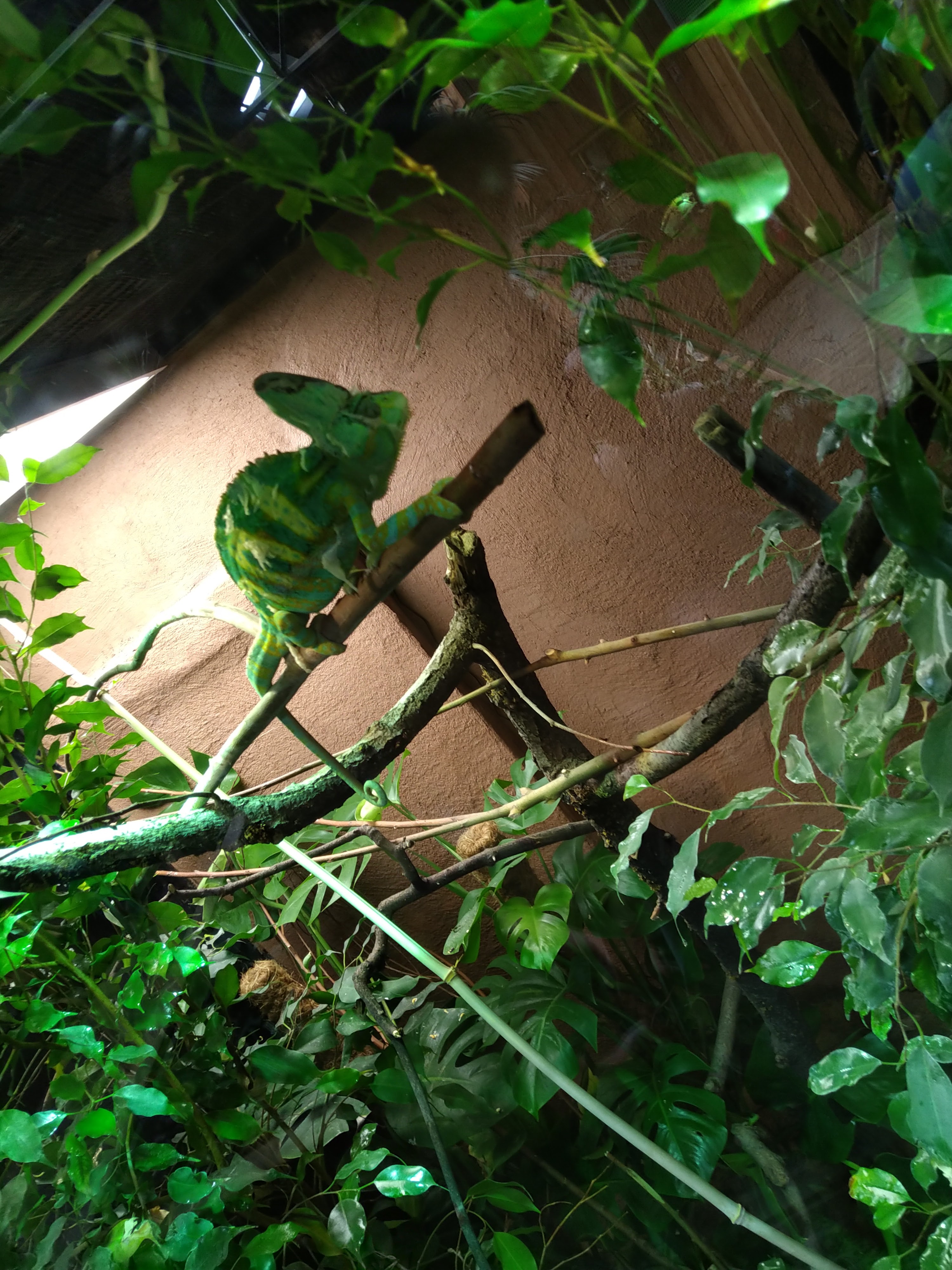 Photo n° 25 de l'avis de HardLoSeDa. fait le 15/08/2019 à 14:36