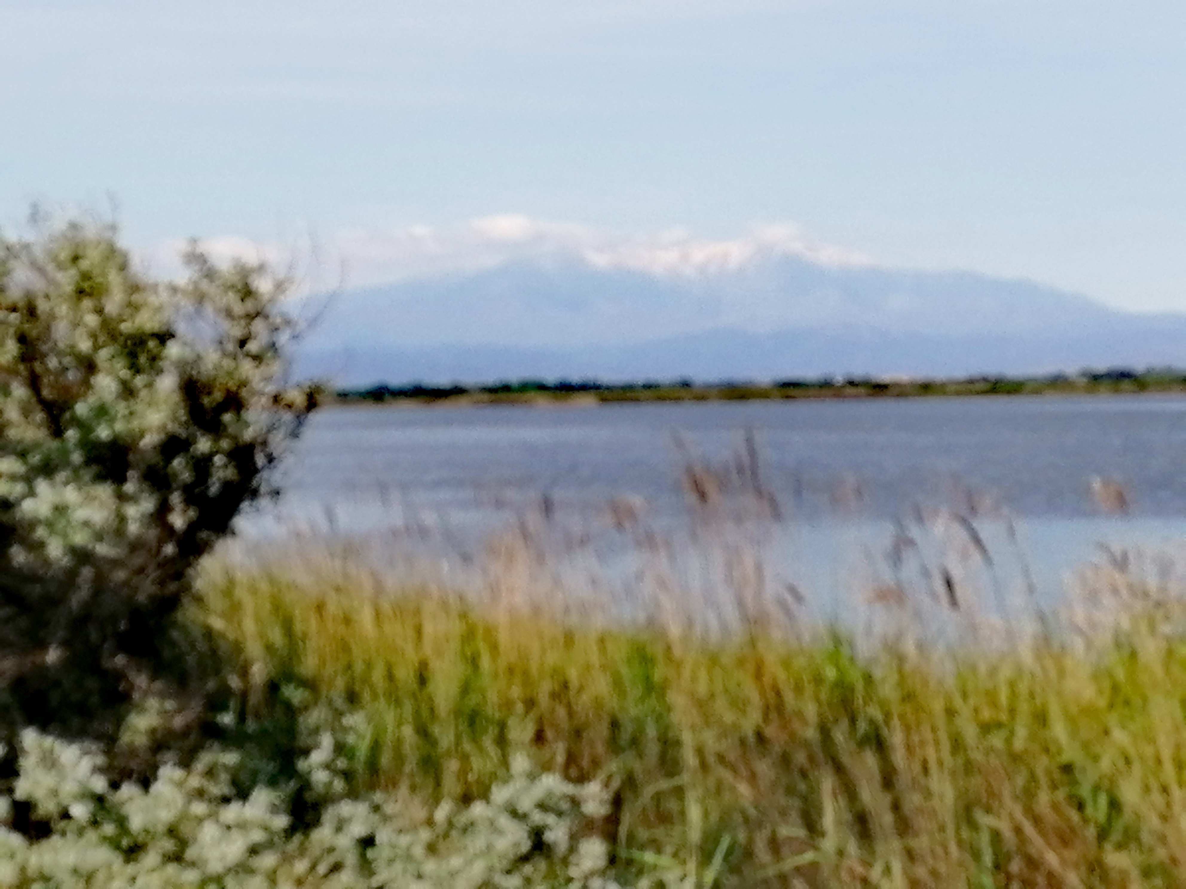 Photo n° 2 de l'avis de liz.e fait le 01/05/2019 à 11:02