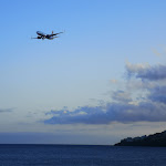 Photo n°2 de l'avis de Hal.i fait le 12/08/2021 à 17:01 sur le  Pizza Cafe à Santa Cruz