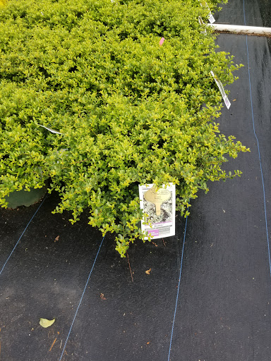 Garden Center «Blooms at Belle Mead», reviews and photos, 1980 US-206, Belle Mead, NJ 08502, USA