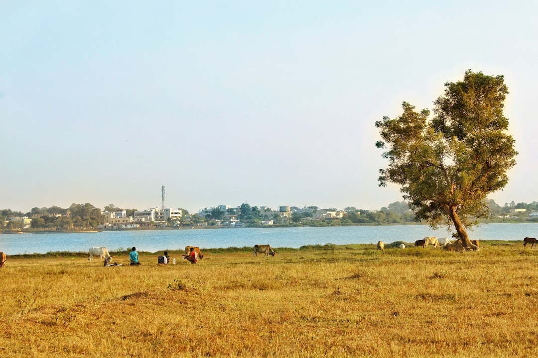 City view