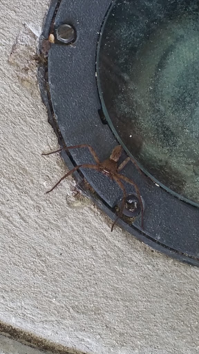 County Government Office «Brevard County Enchanted Forest Sanctuary», reviews and photos, 444 Columbia Blvd, Titusville, FL 32780, USA