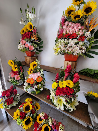 Florería Ave del Paraiso – Manzanillo