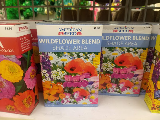 Dollar Store «Dollar Tree», reviews and photos, 4322 W Elm St, McHenry, IL 60050, USA