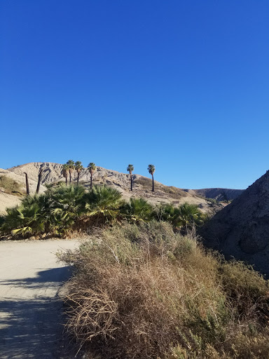 Wedding Venue «Desert Adventures Metate Ranch», reviews and photos, 38635 Monroe St, Indio, CA 92203, USA