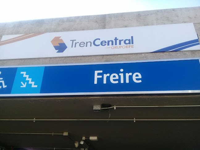 Freire - Servicio de transporte