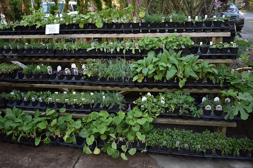 Garden Center «Stonewall Garden Center», reviews and photos, 4675 PA-447, Canadensis, PA 18325, USA