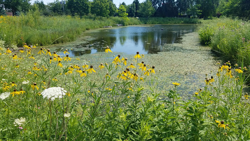 Park «Vogelei Park & Barn», reviews and photos, 650 W Higgins Rd, Hoffman Estates, IL 60169, USA