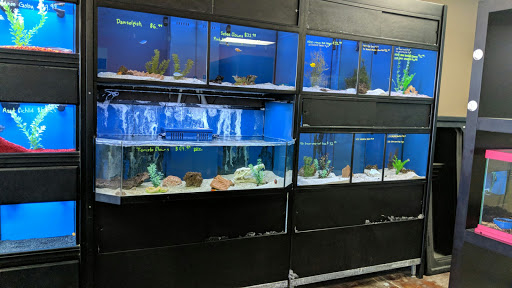 Pet Store «Wildside Pets», reviews and photos, 1042 N Higley Rd #105, Mesa, AZ 85205, USA