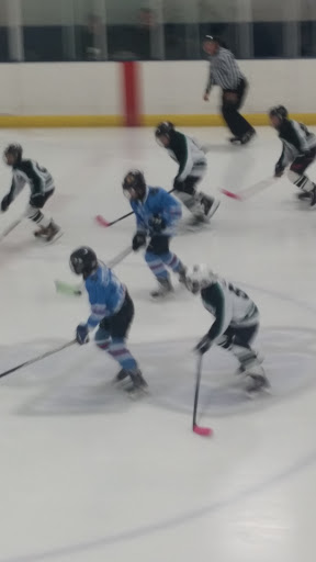 Ice Skating Rink «The Edge Ice Arena», reviews and photos, 735 E Jefferson St, Bensenville, IL 60106, USA