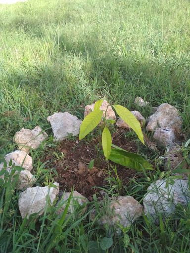 Parque Ecológico La Estación