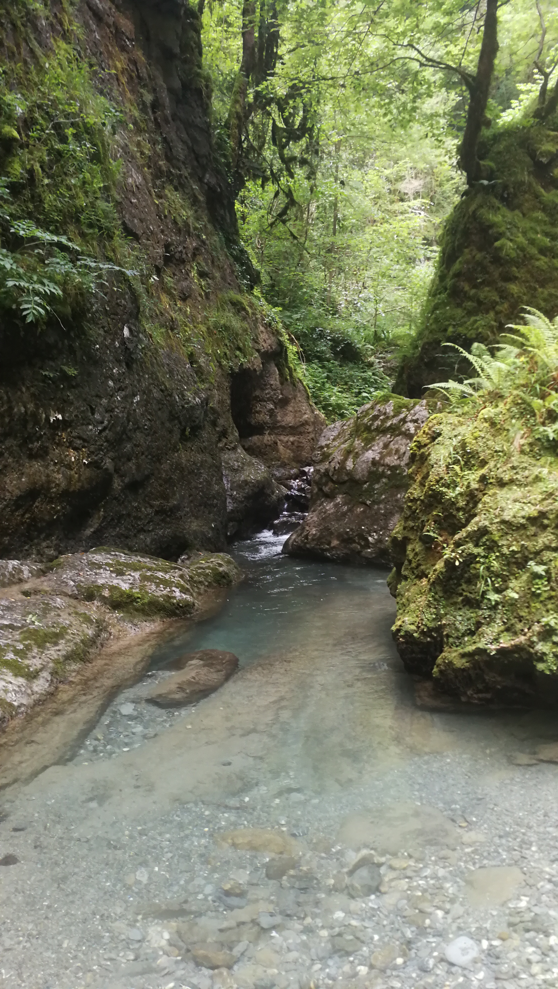 Photo n° 34 de l'avis de Corentin.t fait le 17/07/2019 à 21:16
