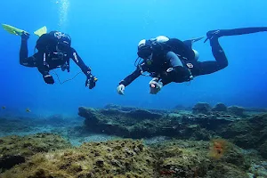 Diving Aqualia La Herradura image