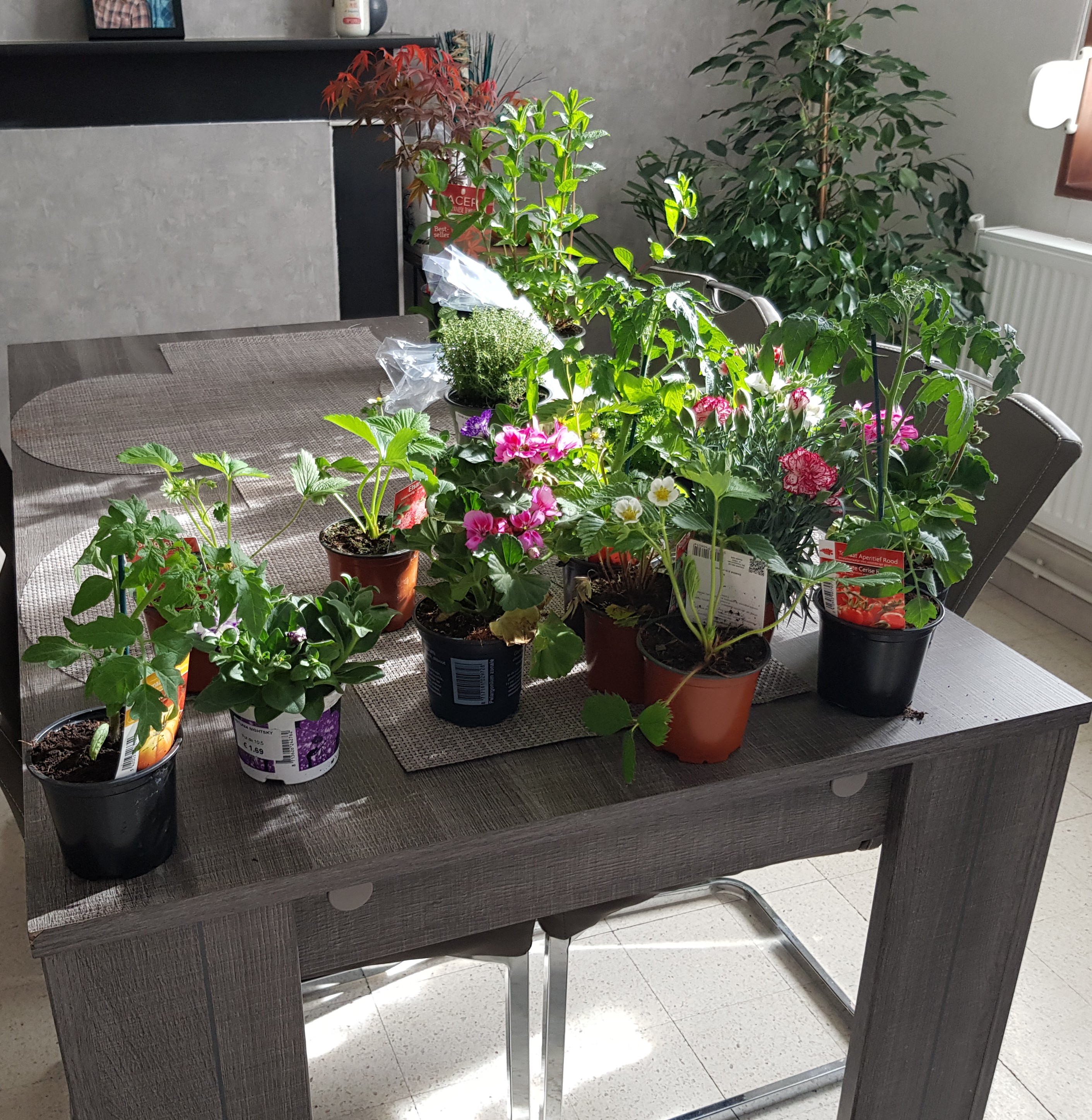 Photo n° 3 de l'avis de Nicolas.a fait le 22/06/2018 à 15:50