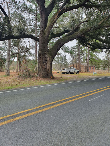 Bicycle Store «Verrazano Bicycle Shop Inc», reviews and photos, 7308 5th Ave, Brooklyn, NY 11209, USA