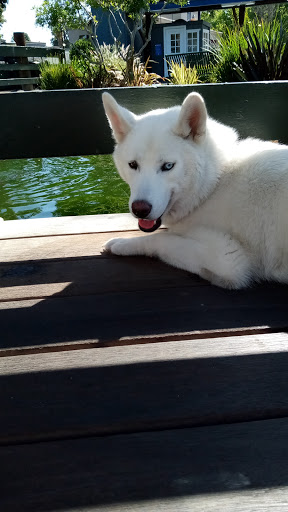 Car Wash «Classic Car Wash», reviews and photos, 981 E Hamilton Ave, Campbell, CA 95008, USA