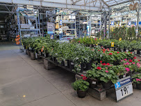 Lowe's Garden Center - Photo 8 - Car repair in Phoenix, AZ, Phoenix