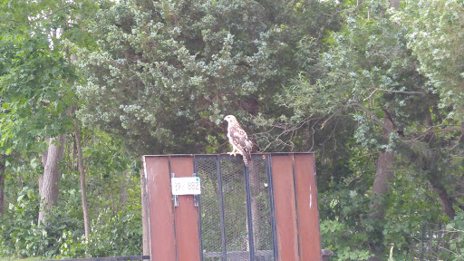 Golf Club «Lost Brook Golf Club», reviews and photos, 750 University Ave, Norwood, MA 02062, USA