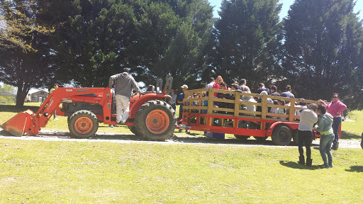 Wedding Venue «Rancho Alegre Farm», reviews and photos, 2225 Givens Rd, Dacula, GA 30019, USA