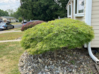 Garcia General Landscaping and Services - Photo 4 - Car repair in Hamilton Township, NJ, Trenton