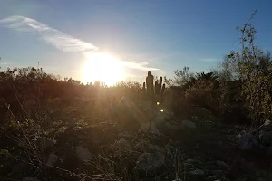 Tijuana River Valley Regional Park Community Garden image