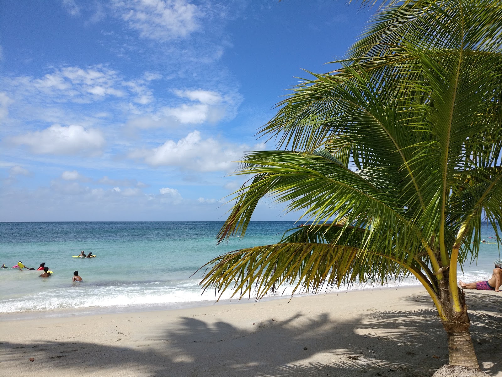 Anse Figuier beach photo #8
