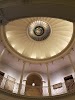 New Haven Museum