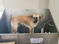 Pet Bath & Beyond - Photo 3 - Car repair in Lakemoor, IL, Round Lake Beach