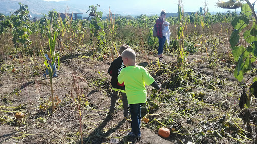 Haunted House «Hee Haw Farms & Corn Maze», reviews and photos, 150 S 2000 W, Lindon, UT 84042, USA