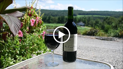 Winery «Big Creek Vineyard», reviews and photos, 41 Susquehanna St, Jim Thorpe, PA 18229, USA