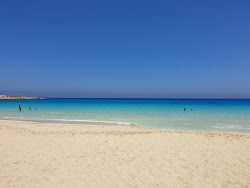 Photo de Veraclub Jaz Oriental Beach avec rivage droit, long