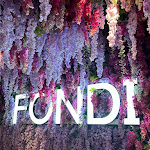 Photo n°1 de l'avis de Alessia.i fait le 03/12/2023 à 23:24 sur le  Fondi dal 1936 à Frascati