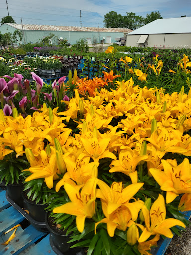 Discount Store «Walmart», reviews and photos, 2150 E National Ave, Brazil, IN 47834, USA