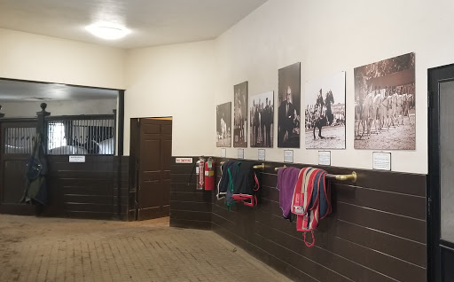 Tourist Attraction «The Tempel Lipizzans», reviews and photos, 17000 W Wadsworth Rd, Old Mill Creek, IL 60083, USA