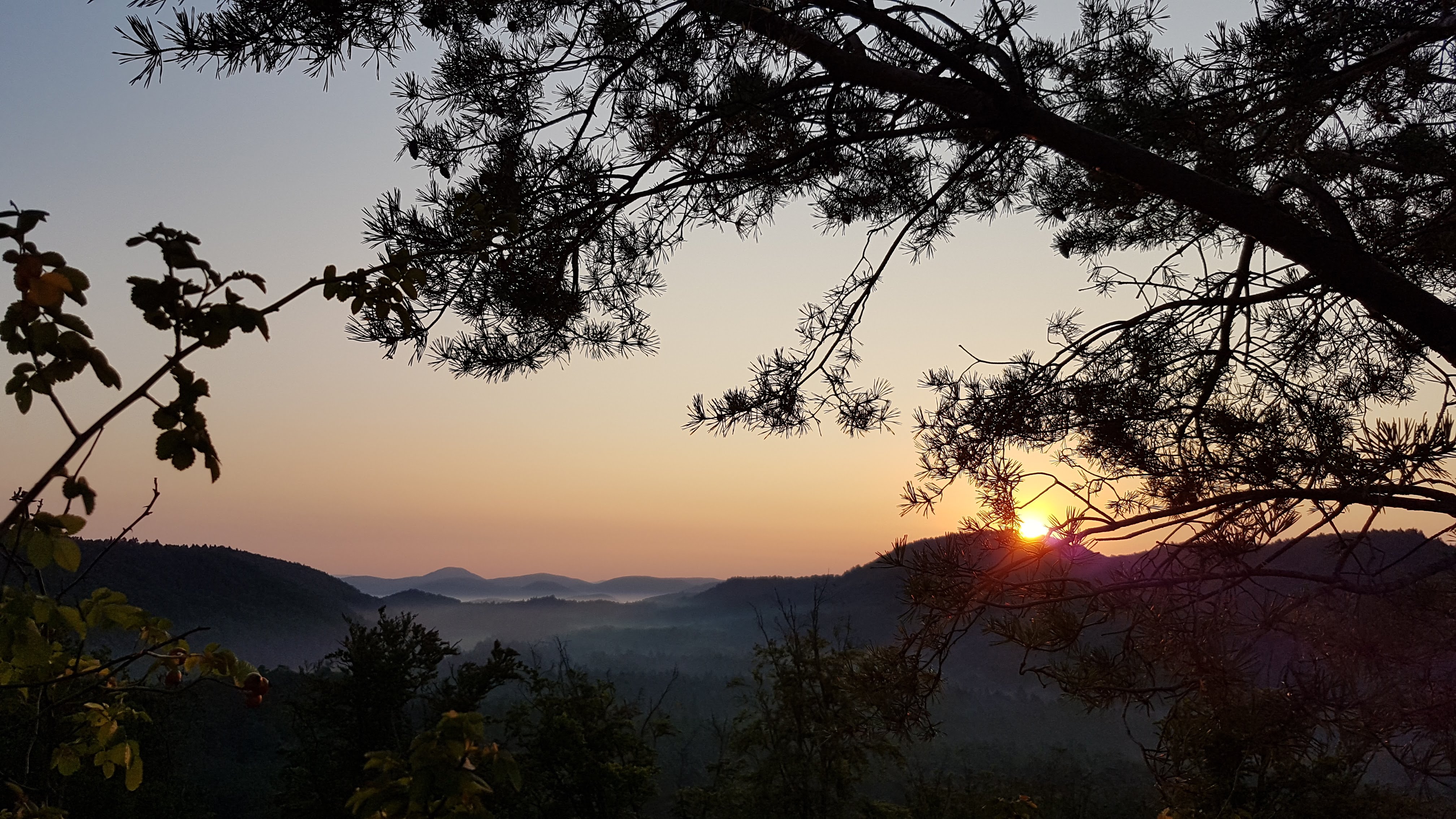 Photo n° 2 de l'avis de Jérémie. fait le 04/08/2018 à 15:21