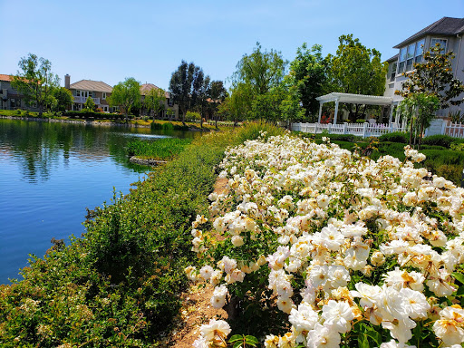 Park «Bridgeport Park», reviews and photos, 23520 Bridgeport Ln, Santa Clarita, CA 91355, USA