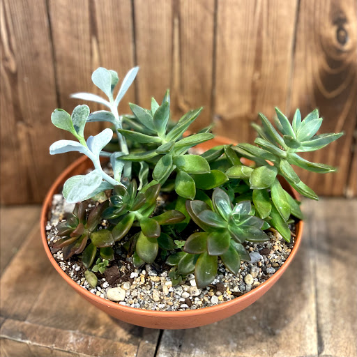 Florist «A Whole Bunch Flower Market», reviews and photos, 326 Cambridge St, Burlington, MA 01803, USA